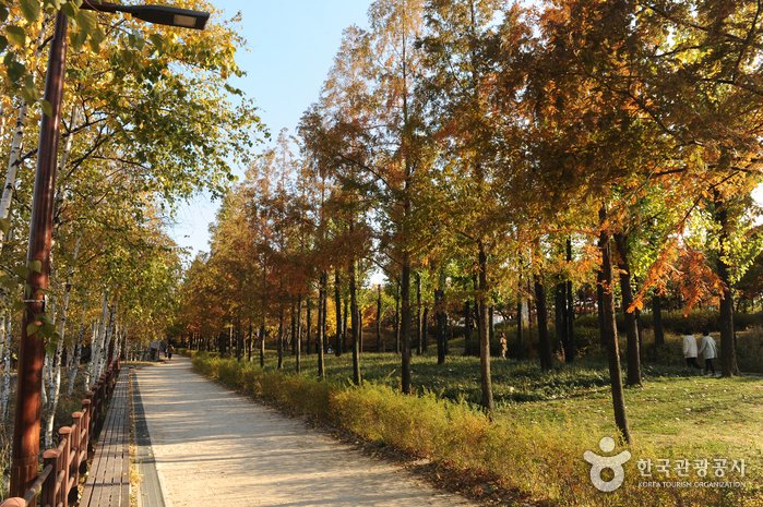 [首爾] 仙遊島公園(선유도공원)