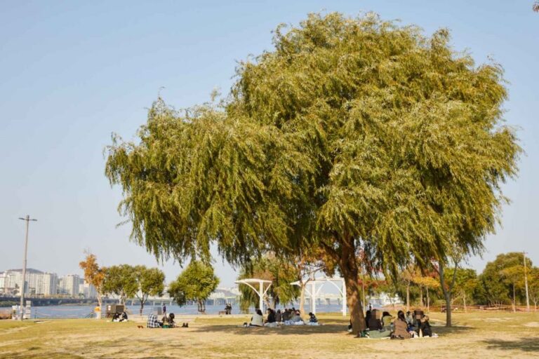 [首爾] 盤浦漢江公園(반포한강공원)
