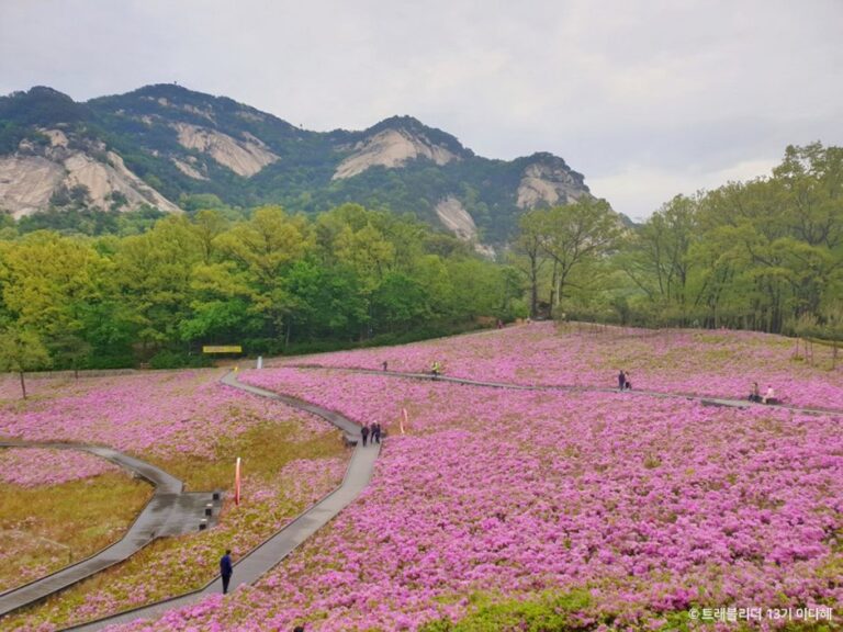 [首爾] 佛巖山蝴蝶庭園(불암산나비정원)