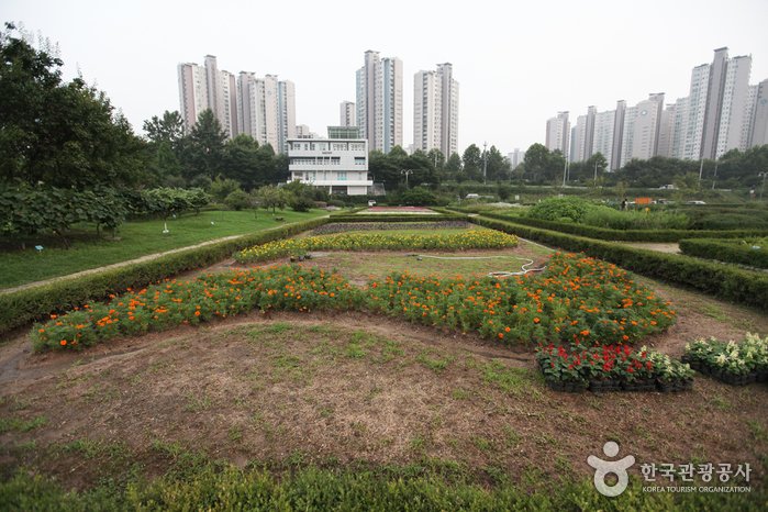 [首爾] 蠶室漢江公園(잠실한강공원)