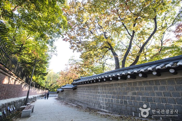 [首爾] 德壽宮石牆路(덕수궁 돌담길)
