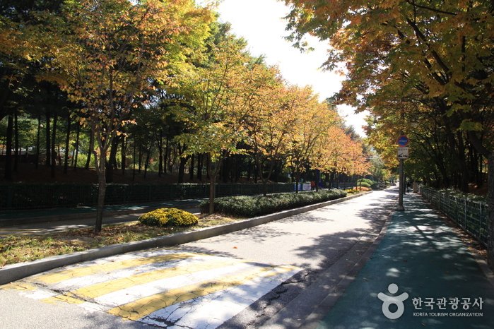 [首爾] 烽火山(首爾)(봉화산(서울))
