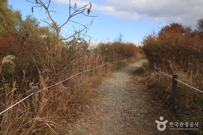 [首爾] 高德洞生態景觀保護區(고덕동 생태경관 보전지역)