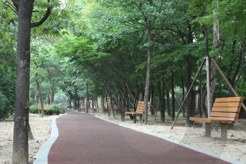 [首爾] 安卡拉公園(姐妹近鄰公園)(자매공원(앙카라공원))