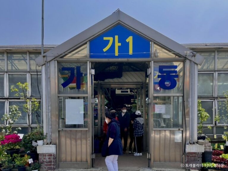 [首爾] 良才花卉市場(양재꽃시장)