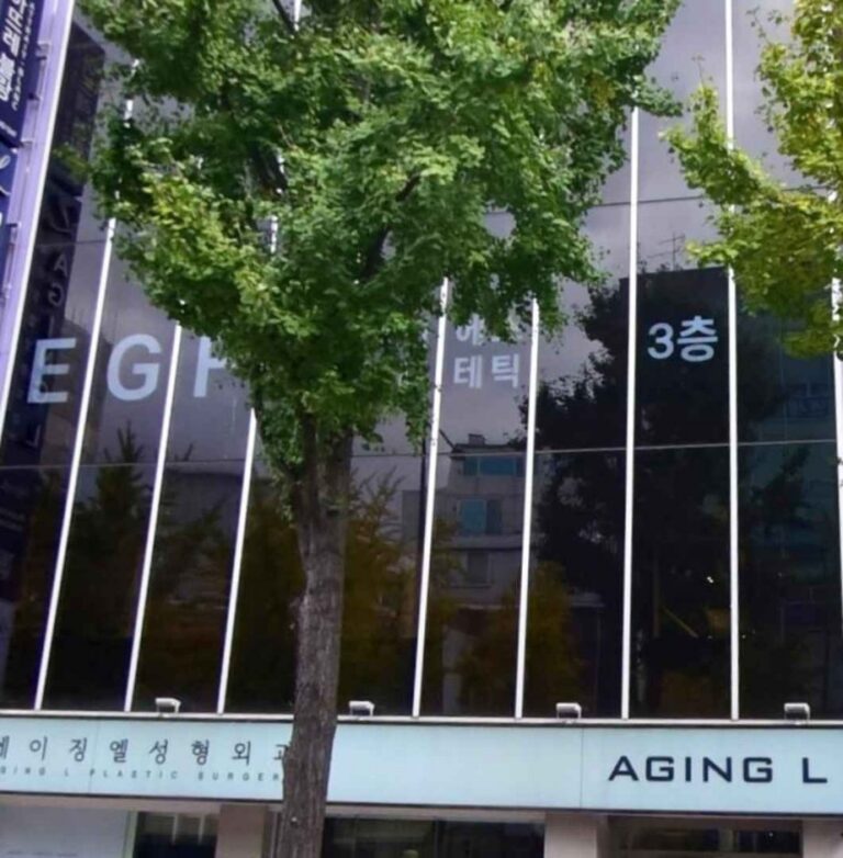 [首爾] [事後免稅店] Again L整形外科診所에이징엘성형외과의원
