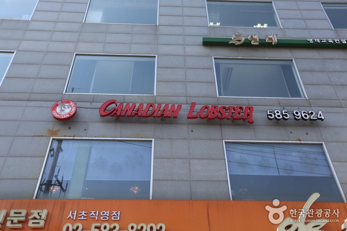 [首爾] 加勒比海龍蝦(카나디안 랍스터)