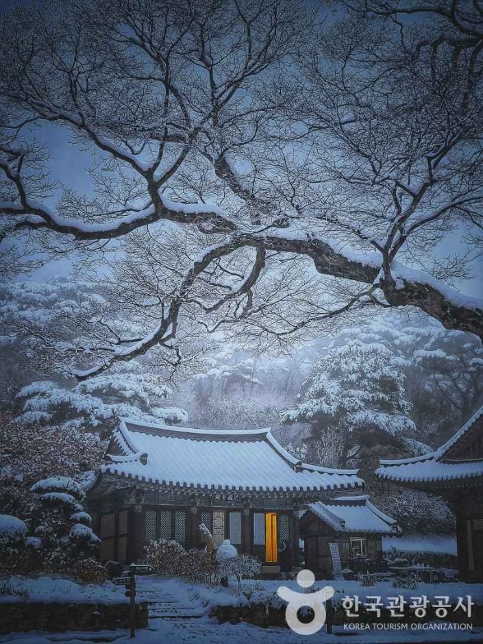 [仁川] 江華傳燈寺(강화 전등사)