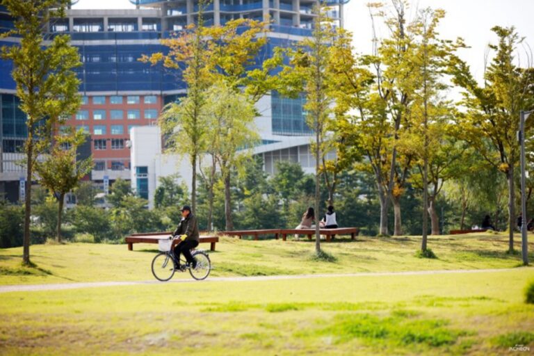 [仁川] 松島Dog Park(송도 도그파크)