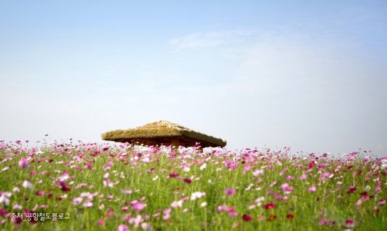 [仁川] 首都圈掩埋場野花花圃夢想公園(수도권 매립지 야생화단지 드림파크)
