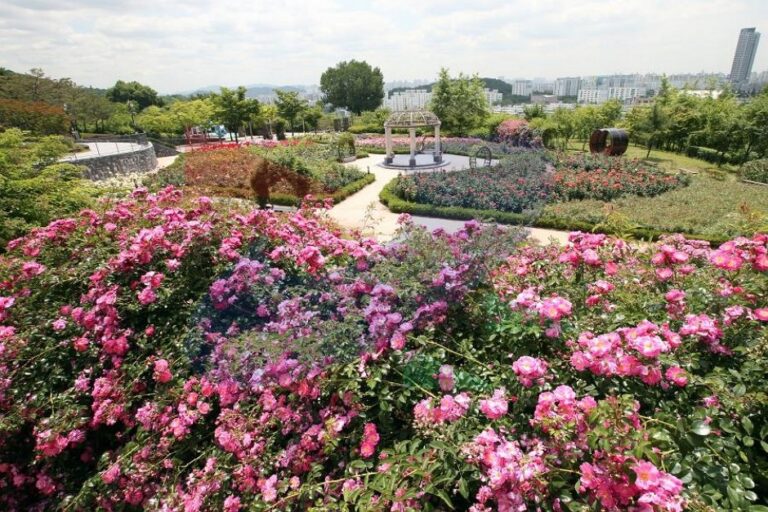 [仁川] 玫瑰近鄰公園(장미공원)
