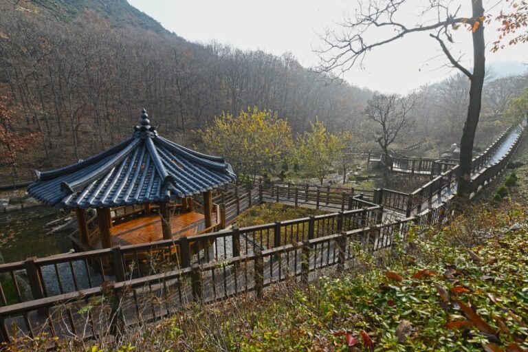 [仁川] 席毛島樹木園(석모도 수목원)