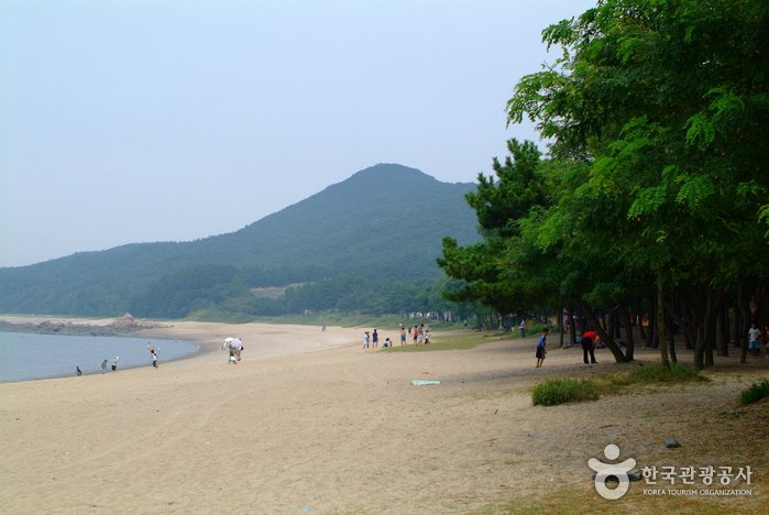 [仁川] 實尾海水浴場(실미해수욕장)