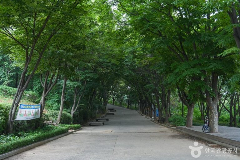 [仁川] 桂陽山步道(계양산둘레길)