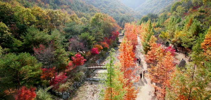 [大田] 上所洞森林浴場(상소동 산림욕장)
