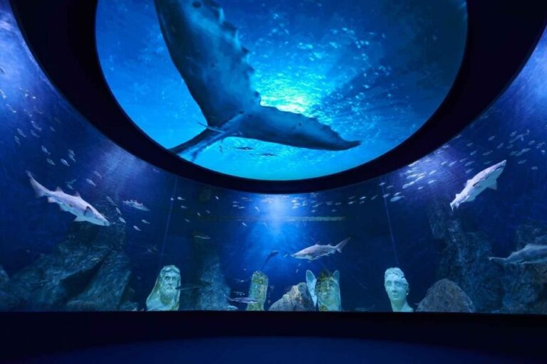 [大田] 大田EXPO水族館(대전 엑스포 아쿠아리움)