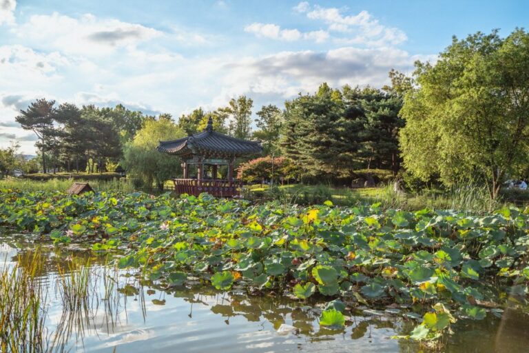 [大田] 裕林公園(유림공원)