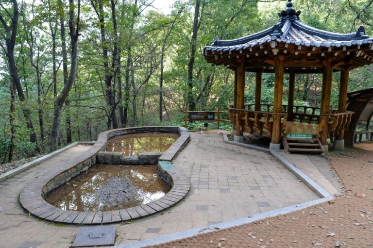 [大田] 壯洞森林浴場(장동산림욕장)
