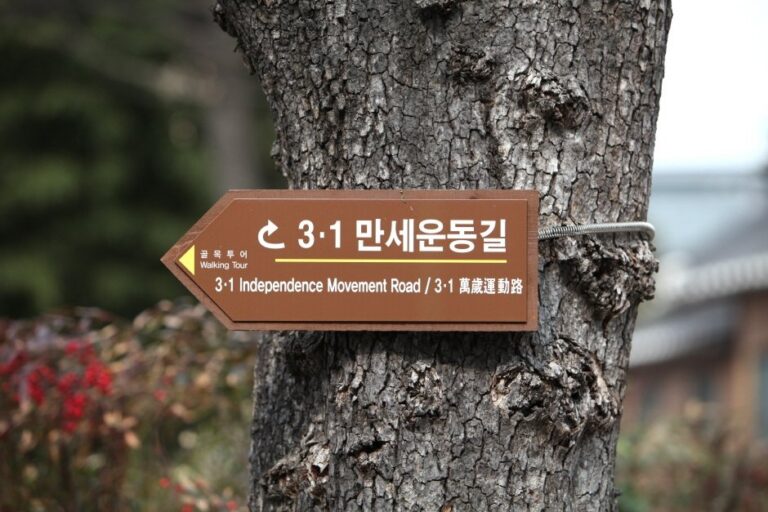 [大邱] 3·1萬歲運動路(3·1만세운동길)