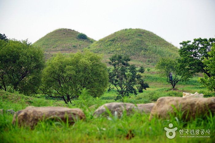 [大邱] 大邱不老洞古墳群(대구 불로동 고분군)