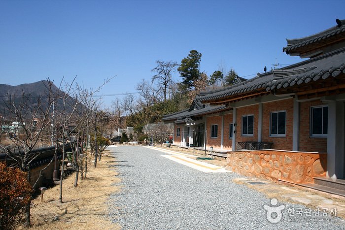 [大邱] 自然染色博物館(자연염색박물관)
