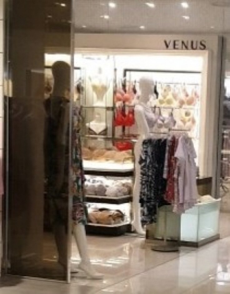 [大邱] [事後免稅店] Venus(비너스)