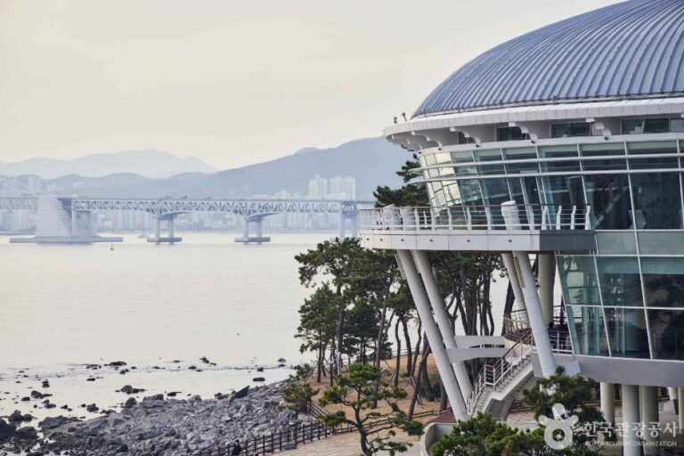 [釜山] 海雲臺冬柏島(해운대 동백섬)