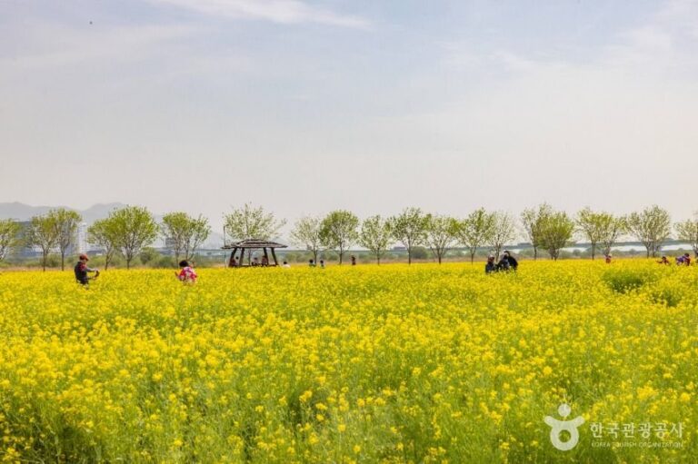 [釜山] 大渚生態公園(대저생태공원)