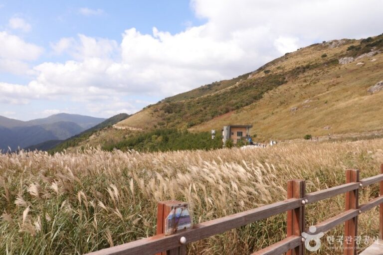 [蔚山] 蔚山12景(울산 12경)
