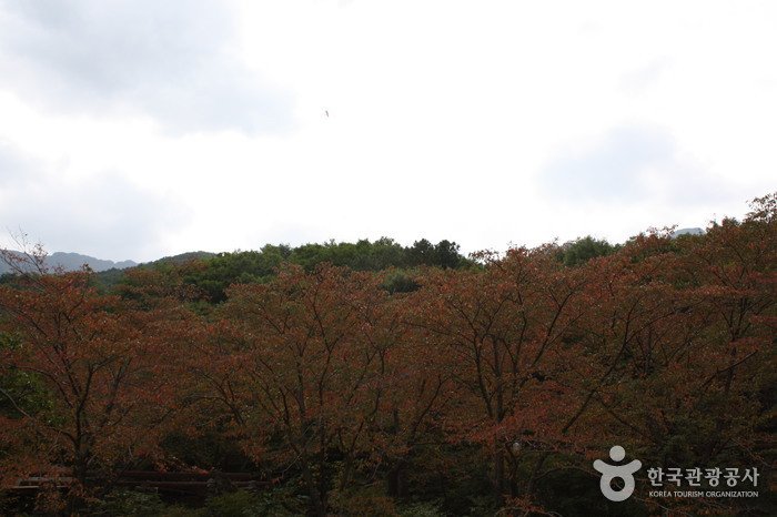 [蔚山] 神佛山郡立公園 (신불산군립공원)