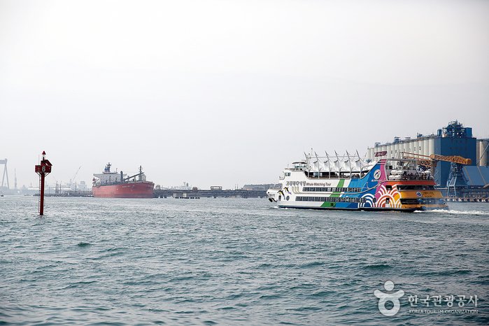[蔚山] 長生浦海洋賞鯨遊覽船(장생포 고래바다여행선)