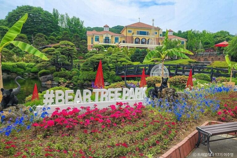 [世宗] Beartree公園(베어트리파크)
