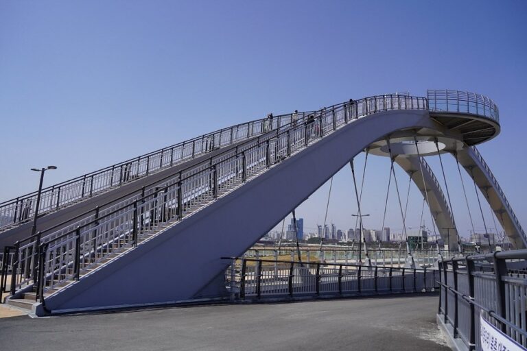[世宗] 錦江步行橋(금강보행교)