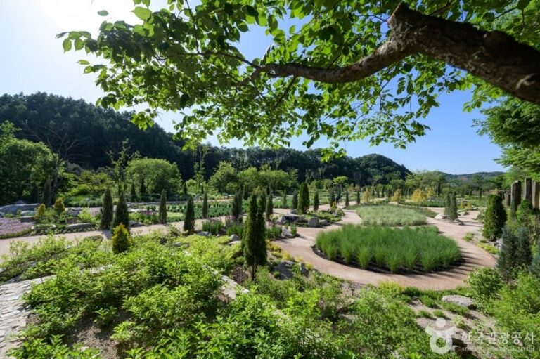 [京畿道] The Stay HEALING PARK(더스테이힐링파크)