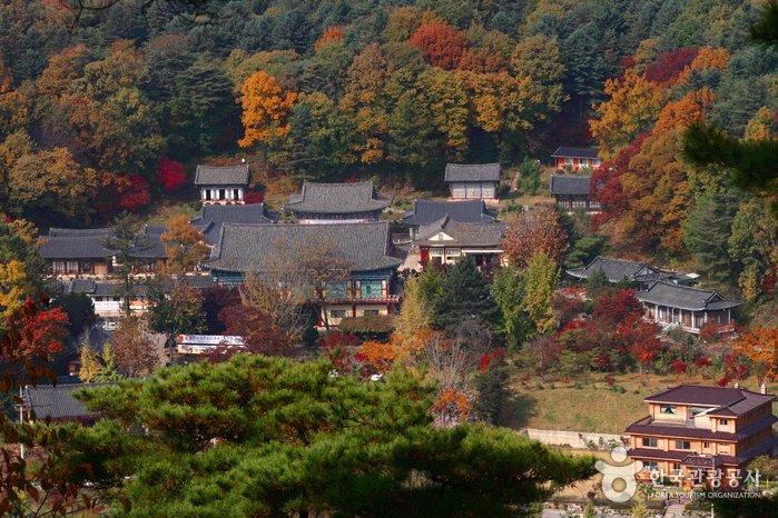 [京畿道] 奉先寺(京畿)(봉선사(경기))