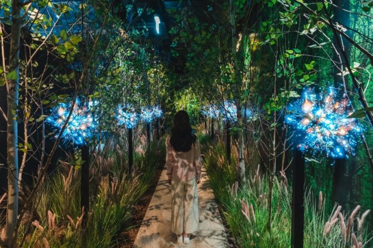 [京畿道] Discovery Nature Scape 東灘店(디스커버리 네이처스케이프 동탄점)