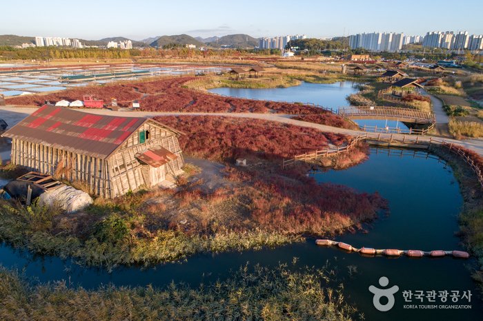 [京畿道] 始興河溝生態公園(시흥 갯골생태공원)