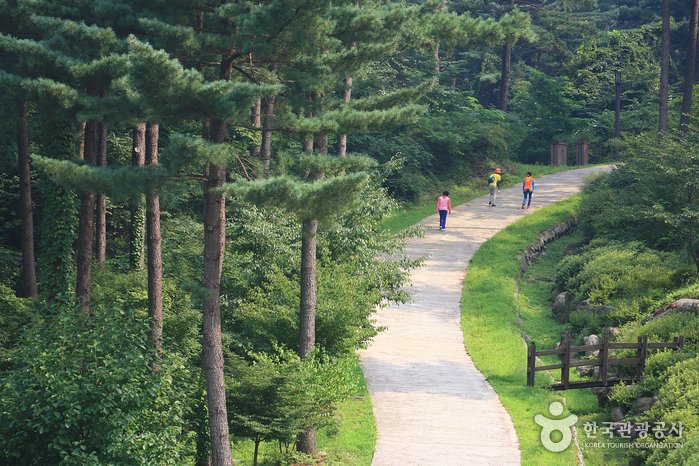 [京畿道] 松香綠林(잣향기푸른숲)