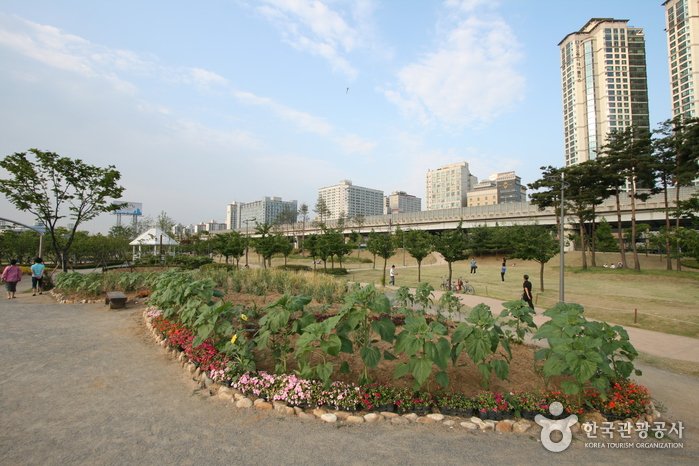 [京畿道] 上洞湖水公園(상동호수공원)