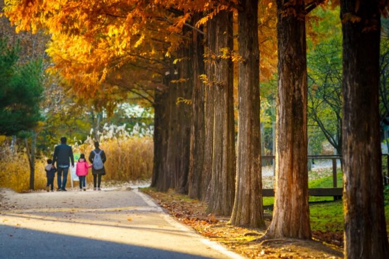 [京畿道] 京畿道立水香樹木園(경기도립 물향기수목원)
