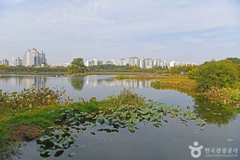 [京畿道] 萬石渠公園(만석거공원)