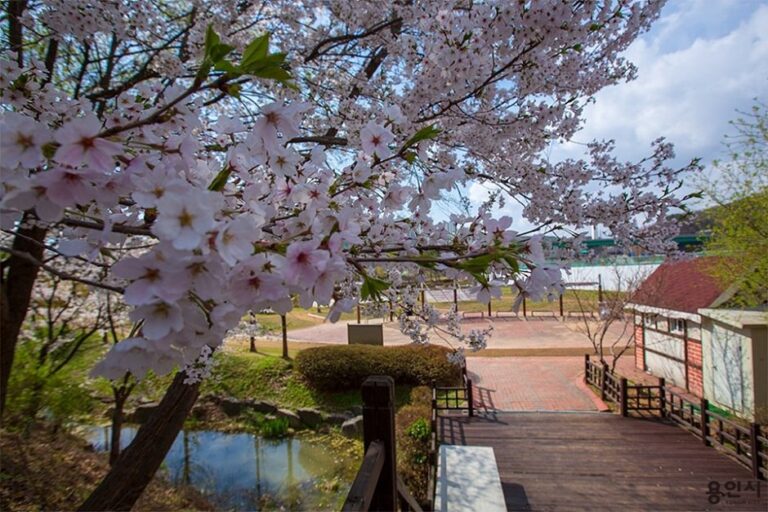 [京畿道] 器興湖水公園寵物遊樂場(기흥호수공원 반려동물놀이터)
