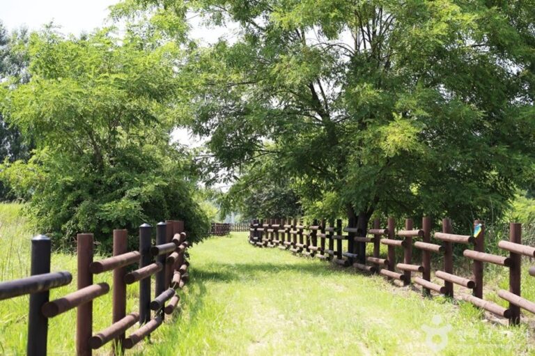 [京畿道] 康川島(강천섬)