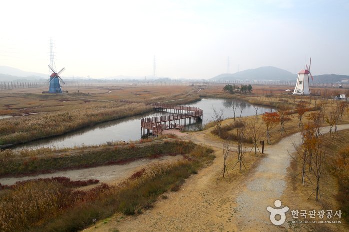 [京畿道] 大阜島(대부도)