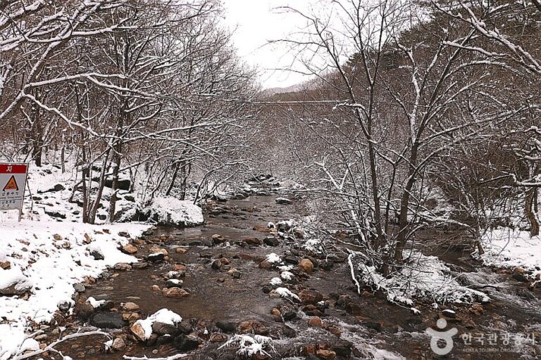 [京畿道] 舍那寺溪谷(사나사계곡)