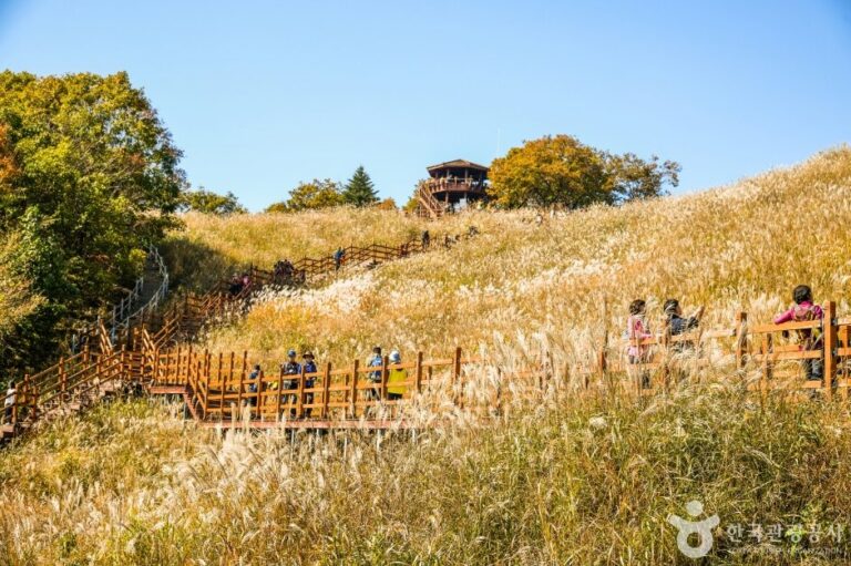 [京畿道] 鳴聲山紫芒田(명성산 억새밭)