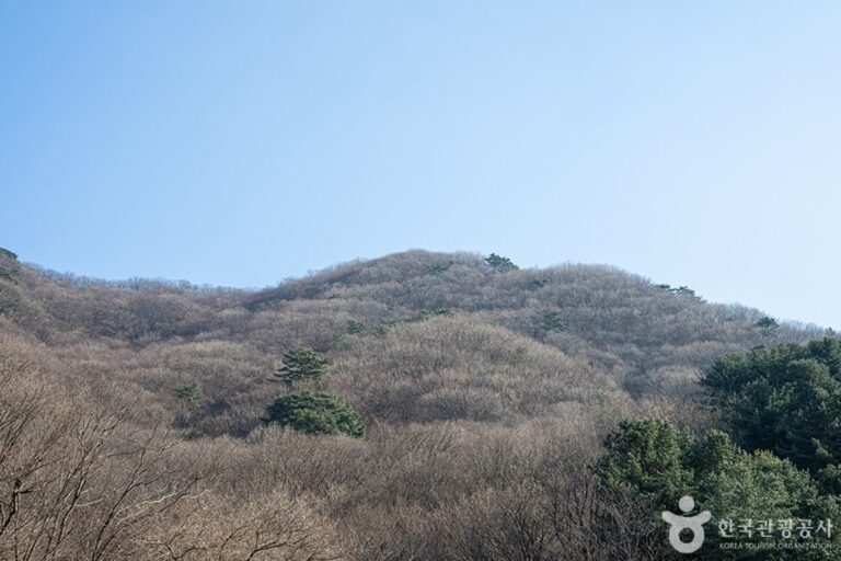 [京畿道] 祝靈山(축령산)