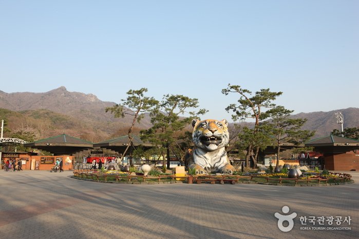 [京畿道] 首爾大公園(서울대공원)