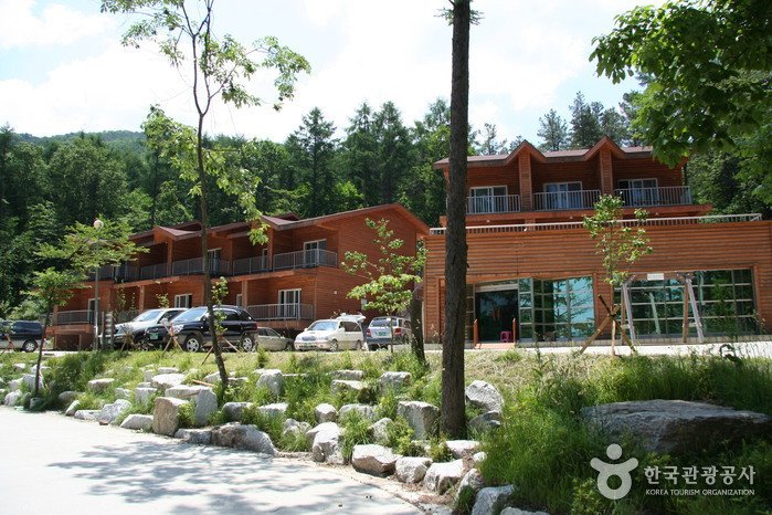 [京畿道] 國立有明山自然休養林(국립 유명산자연휴양림)