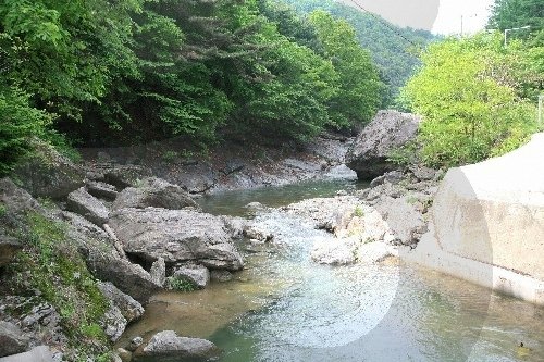[京畿道] 秘琴溪谷(비금계곡)